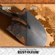Rust-Oleum Rust Dissolver Gel Spray-300112, 32 oz