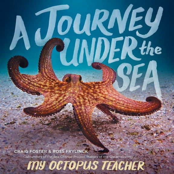 A Journey Under the Sea, (Hardcover)