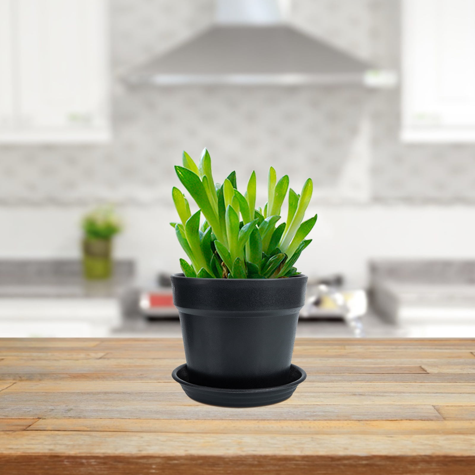 TABLZONE Black Plastic Plant Pots Set of 4 for Indoor and Outdoor Gardening, and Stylish Home