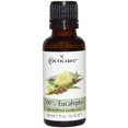 thumbnail image 1 of Cococare Cococare Aceite de masaje 100% eucalipto - 1 Oz 1 Fl Oz, 1 of 2