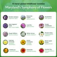 thumbnail image 6 of Maryland Wildflower Seed Mix, 15 Flower Varieties, 50,000 Seeds - Created By Nature, 6 of 6