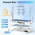 thumbnail image 4 of Toyandona Professional Electric Lift Table with Storage Drawer and Hooks, 4 of 14