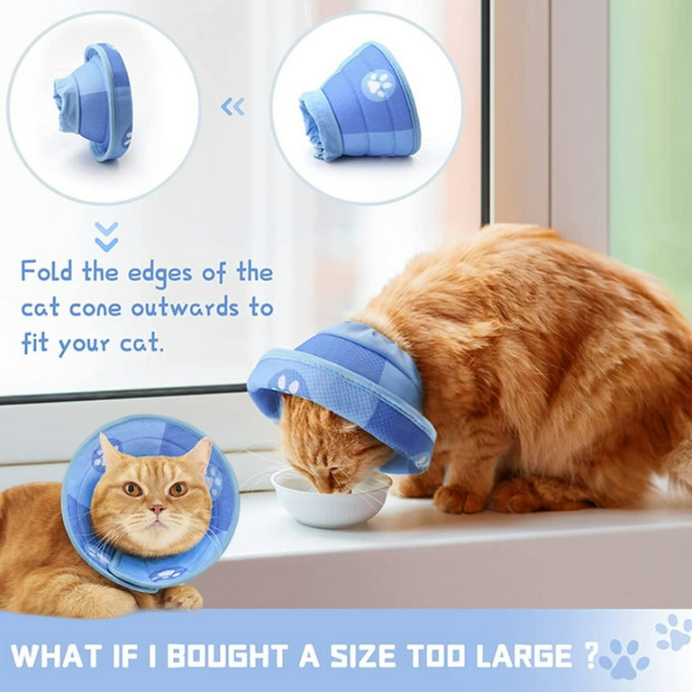 Caring Collar Petsmart Cones For Cats E Collar For Cats Petsmart