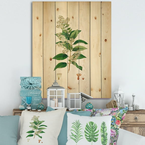 Designart 'Ancient Botanicals XVII' Farmhouse Print on Natural Pine Wood