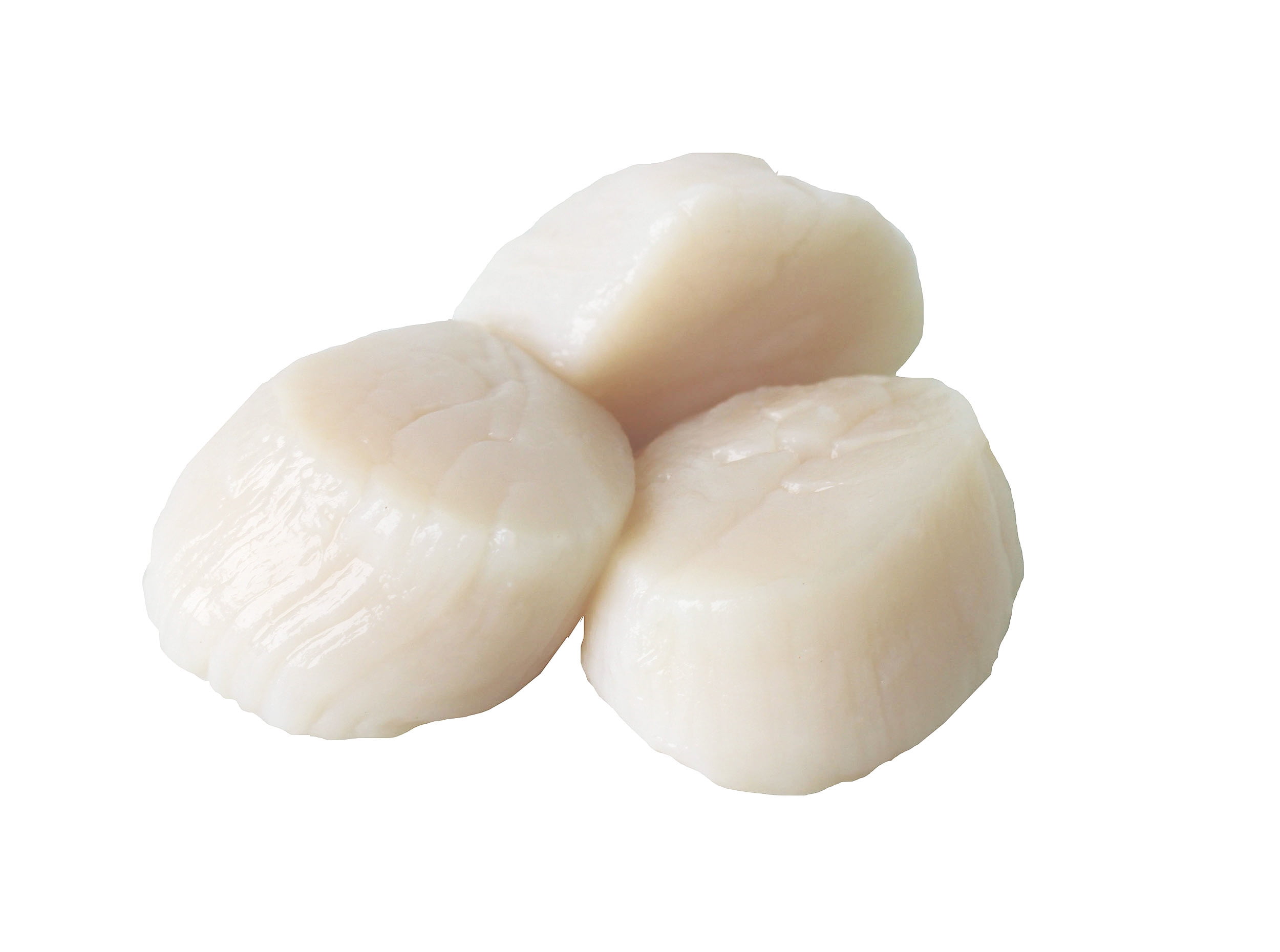 Frozen Raw Jumbo Scallops Under 10 Count 1 Lb Walmart Com Walmart Com Frozen Raw Jumbo Scallops Under 10 Count 1 Lb Walmart Com Walmart Com