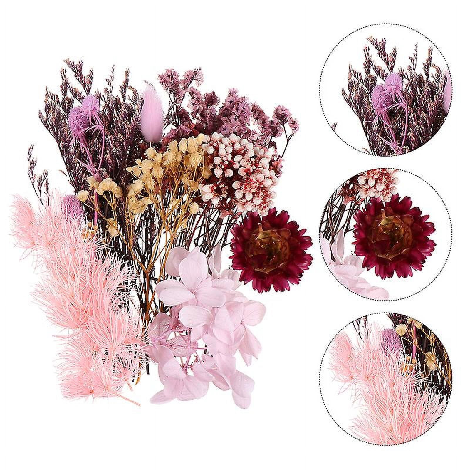 1pack Real Dried Flowers