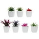 thumbnail image 4 of 7 mini macetas para plantas, pequeñas macetas para bonsáis, de escritorio, modelo de planta falsa., 4 of 6
