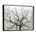 thumbnail image 2 of Designart "Oak Trees In Black And White I" Tree Oak Floater Framed Wall Art Living Room, 2 of 5
