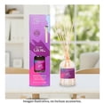 thumbnail image 4 of Difusor Mainstays Fruity Glow 80 Ml, 4 of 4