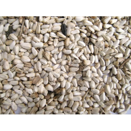 Dodder Seed - Shafer Seed Company-Safflower Seed 25 Pound