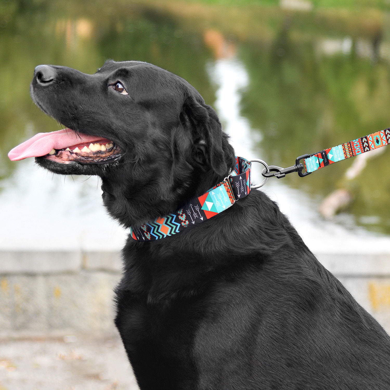 CollarDirect Martingale Collars for Dogs Heavy Duty Tribal Pattern Adjustable Soft Safety Training Nylon Wide Pet Collar Medium Large 