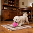thumbnail image 6 of Squeaky Dog Ball Toy, Soft Rubber Interactive Chew Toy for Puppy Teething, Textured Bouncy Pet Play Ball for Small Medium Dogs, Colorful Fetch Toy for Indoor Outdoor Play, 6 of 8
