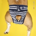thumbnail image 2 of Pantalones cortos de perro para mujer, ropa interior para menstruación, mono, pantalón fisiológico para mascotas, pañal sanitario lavable, 2 of 4