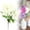 C, variant on Artificial Daisy Memorial Flower Single Stem D Plastic for Cemetery Hanging Window Box Home Table Decor