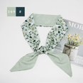 thumbnail image 1 of Bufanda de seda larga versátil, pajarita con estampado de letras, diadema floral, correa para bolso, pañuelo pequeño, accesorio, regalo de moda, 1 of 5