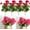Rose Red, variant on Artificial Flowers Geranium Bush Begonia Silk Flowers for Outdoor Indoor Artificial Plant Flowers for Patio Lawn Garden Decor (4PCS Red)