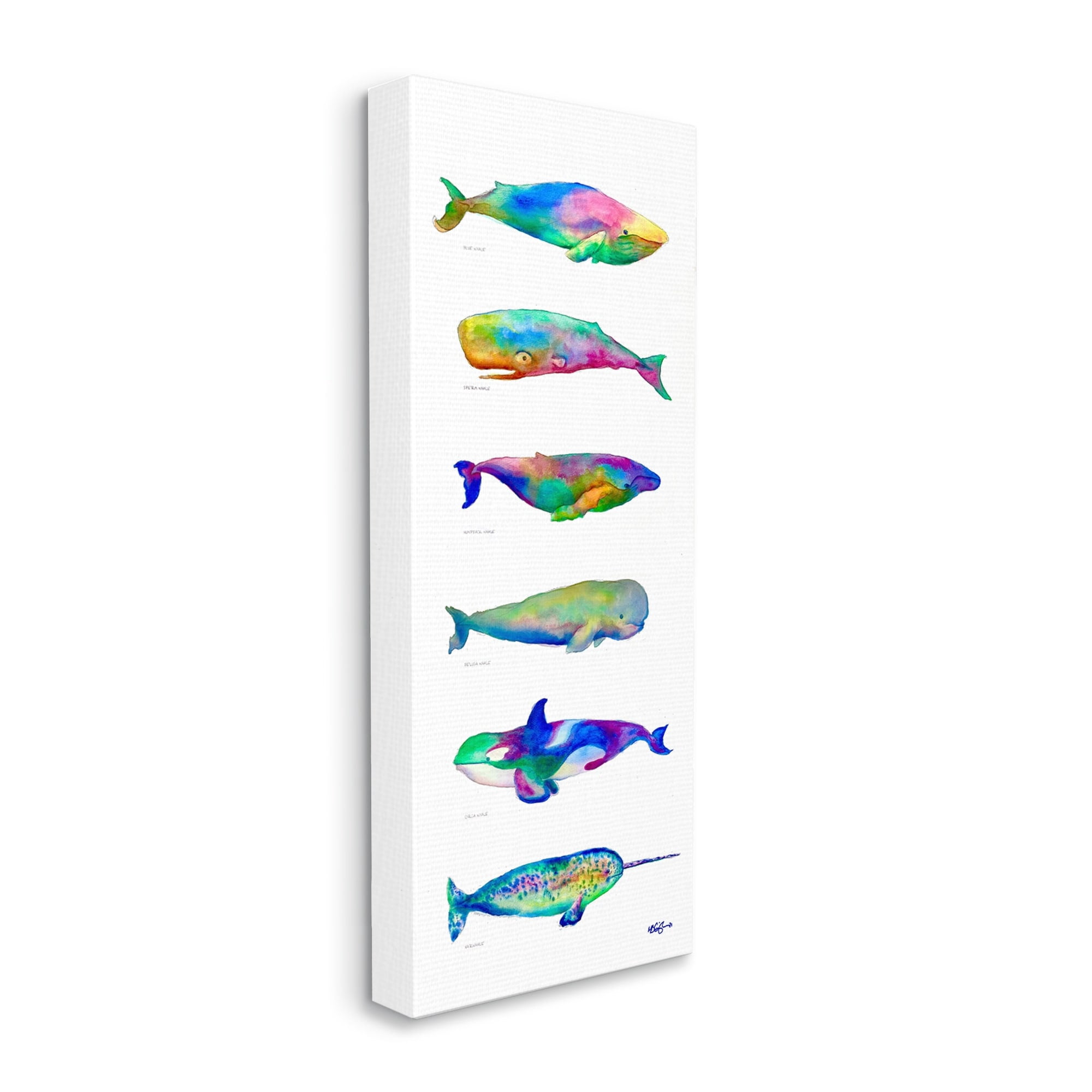 Stupell Industries Bold Kaleidoscopic Whale Narwhal Types Sea Life Chart, 17 x 40, Design by MB Cunningham