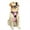 Pink, variant on Reflective Dog Harness No Pull Dog Vest Harness With Handle, Breathable Padded Dog Chest Harness Adjustable for Small to Large Dogs, Pink, Size L