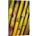 thumbnail image 1 of Great BIG Canvas | "Hawaii, Maui, Closeup Of Bamboo Stalks" Canvas Wall Art - 20x30, 1 of 2