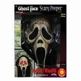 thumbnail image 1 of Visage de Fantôme à DEL 12 Po (Lot de 1), 1 of 1