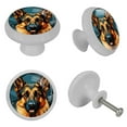 thumbnail image 4 of Collie Round Glow-in-the-Dark Fluorescent Cabinet and Dresser Knobs - 4-Pack, 4 of 6