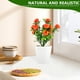 thumbnail image 2 of KAKOWELY Árbol frutal artificial en maceta, adorno realista de bonsái naranja, decoración de árbol frutal artificial, 2 of 5