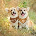 thumbnail image 4 of Fall Dog Bandana Reversible 2 Pack Small, Autumn Orange Black Buffalo Plaid Pumpkin Turkey Cute Fall Pet Bandanas for Dogs Adjustable Triangle Holiday Scarves for Small Medium Boy Girl Dogs, 4 of 6