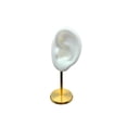 thumbnail image 3 of Soporte de exhibición de Modelo de oreja Soporte de perno Herramientas de enseñanza Decoración de escritorio duradera con estante de almacenamiento estable para Izquierda Blanca Hugo Soporte de exhibición de aretes, 3 of 10