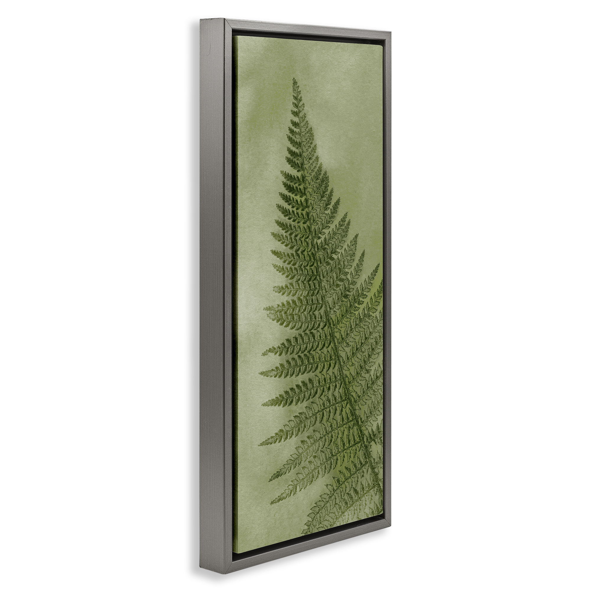 Stupell Industries Detailed Green Fern Leaf Botanical & Floral Painting Gray Floater Framed Canvas Art Print Wall Art, 11 x 25