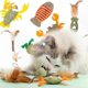 thumbnail image 2 of Catnip Ball Toy for Cats - Healthy Dental Cleaning Mint Chaser Game Pet Supplies for Home Use, 2 of 5