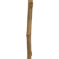 thumbnail image 4 of Vickerman 42-46" Natural Brown Cierus Stem. Includes 3 Stems, Dried, 4 of 5