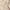 Beige, variant on Ersazi Dresses for Women Clearance Sale Womens Fashion Sequin Slip Dress Sparkly Glitter Party Club Long Skirt Wrap Evening formal Dress Beige Xl