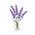 thumbnail image 6 of Watercolor Flower Theme Stickers, Waterproof Flower Theme Sticker for Water Bottle Laptop Phone Cases Planner Skateboard Luggage Helmet Party Favor Decor, Ideal for Adults Teens Teacher Rewards, 6 of 9