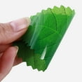 thumbnail image 2 of 200 hojas decorativas de sushi realistas para restaurante (verde), 2 of 6