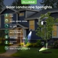 thumbnail image 4 of Solar Landscape Spotlights 3CCT, Dimmable Solar Spot Lights Outdoor, 30° Beam Angle Solar Powered Lights Dusk to Dawn, IP65 Waterproof Flag Pole Solar Light for Yard Pathway Garage Patio,4 Pack, 4 of 6