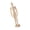 12 inches, variant on Ywmsfl Anatomically Correct Drawing Figure Sketching Manikin With Stable Base 8Inch/12Inch/16Inch For Dynamic Pose References