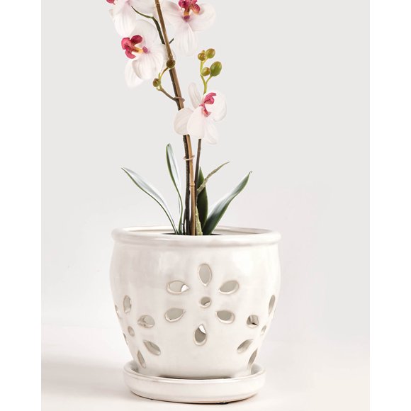 5 Inch Ceramic Orchid Pots with Holes and Saucers - 1 Pcs Small Ceramic Orchid Planter Pots for Repotting, Plant Garden Pots for Orchid Indoor and Outdoor Promotes Air Circulation, White