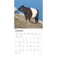 thumbnail image 3 of Cows | 2025 12x24" (Hanging) Wall Calendar | Plastic-Free | BrownTrout, 3 of 9