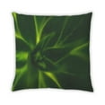 thumbnail image 2 of Ahgly Company Color Focus Green Coussin Décoratif d'Intérieur, 18 Po X 18 Po, 2 of 6