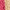 Pink, variant on No Boundaries Jute Zipper Pouch, Pink, Women’s