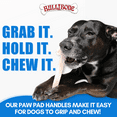 thumbnail image 3 of BulliBone Peanut Butter Chew Bone for Dogs, Small to Medium Sizes, 3 of 6