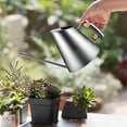 thumbnail image 5 of Stainless Steel Watering Can - 50oz (1500ml) Retro Design with Long Spout for Indoor/Outdoor - Rust-Resistant Metal Watering Pot for Gardens, Flowers & Succulents, 5 of 7