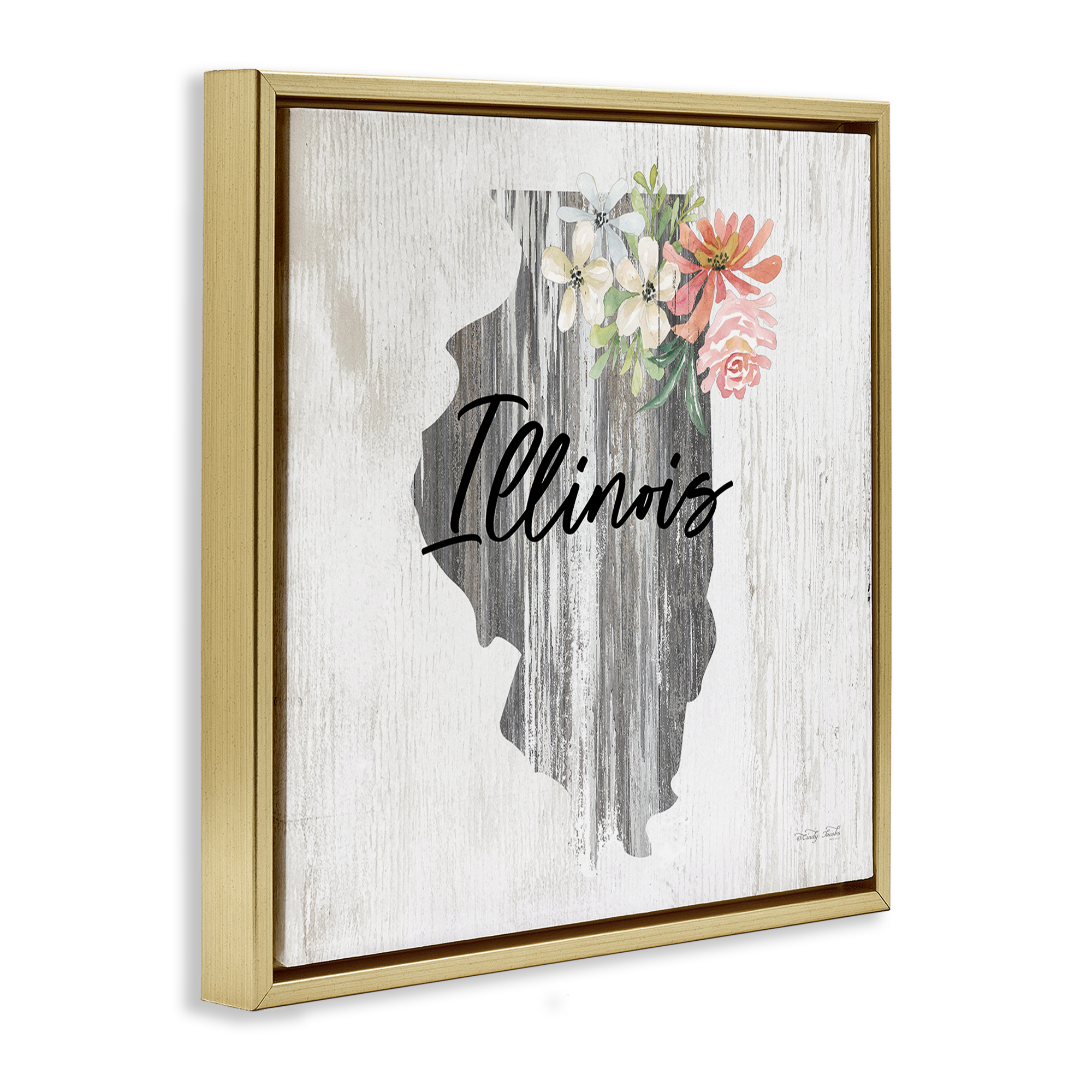 Stupell Industries Shabby Chic Illinois Botanical & Floral Painting Gold Floater Framed Canvas Art Print Wall Art, 25 x 25