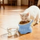 thumbnail image 1 of CaiYueKe Elevated Cat Food Bowl with Stand, Whisker Friendly Shallow Pet Dish, Tilted Anti-Vomit Slow Feeder, Non-Slip Durable Plastic Pet Feeding Station for Cats and Small Dogs, 1 of 7