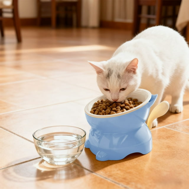 Elevated Cat Food Bowl Large Capacity Whisker Fatigue Relief Anti Vomit Slow Feeder Pet Dish for Indoor Cats with Stand and Mat