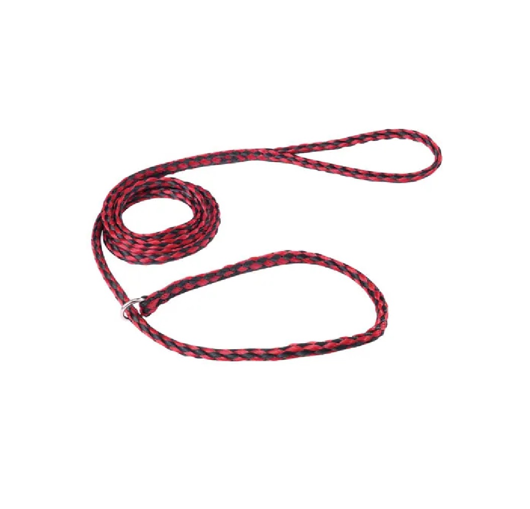 Bulk Pack Strong Dog Control Slip Lead Leashes Assorted Color Vet Rescue Kennel Choose Quantity (24 Leads)