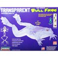 thumbnail image 1 of HL301/12 - TRANSPARENT BULL FROG MODEL KIT 11IN LONG, 1 of 2