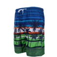 thumbnail image 4 of Traje de Baño Hombre con Sandalias Thats Hot Verde Playa S Thats Hot Thats Traje de Baño Hombre con Sandalias, 4 of 5