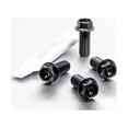 thumbnail image 4 of Titanium Rider Footrest Hanger Bolt Kit (TIRREST250), 4 of 6