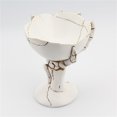 thumbnail image 4 of Taza de caballero esqueleto 3D creativa JM de acero inoxidable resina horror fantasma cabeza, 4 of 5